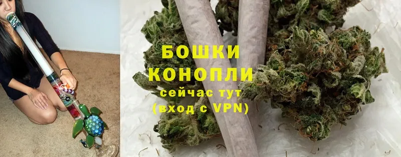 где продают наркотики  mega ССЫЛКА  Бошки Шишки OG Kush  Райчихинск 